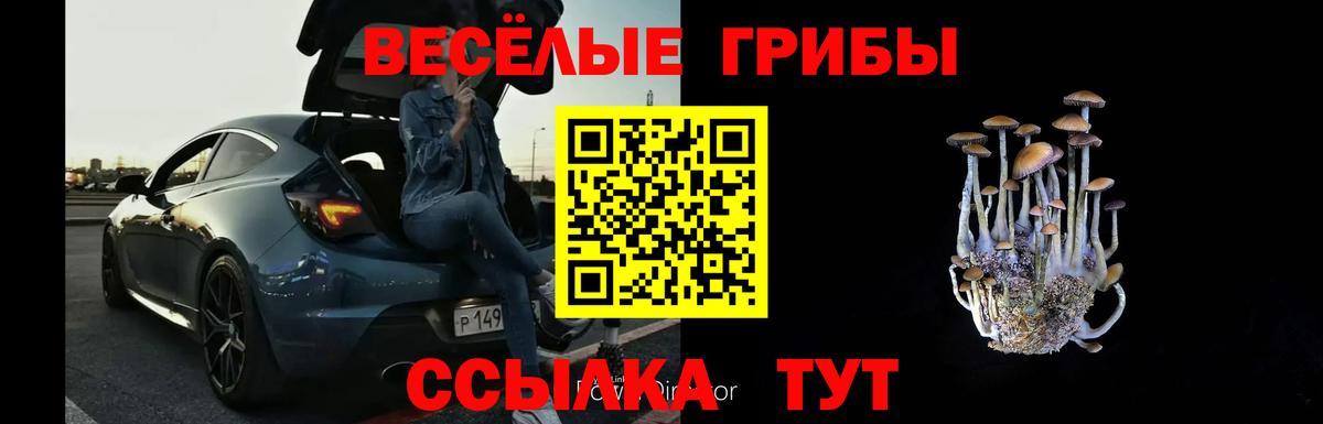 Псилоцибиновые грибы ЛСД Абакан